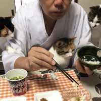 三位一体　猫フォーメーション！！那須の長楽寺にいる猫ちゃんたちの日常