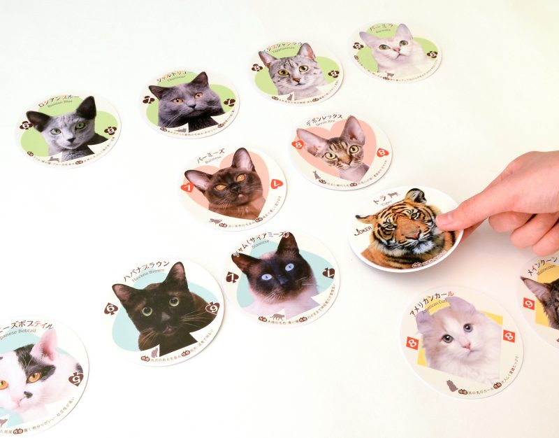 「猫ならべ」に「猫のしっぽ」ができるよ！54種の猫の写真で構成された『ねこトランプ』