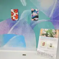 IQOS10