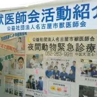 獣医師会活動紹介