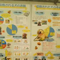 説明パネル
