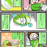 白菜２