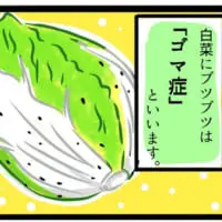 祭さん（@hohoho09261）より。