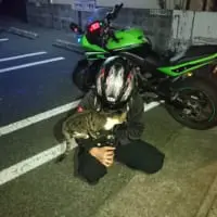 ネコ１