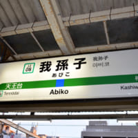 abiko_karaage01