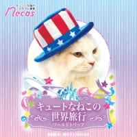 necos「キュートなねこの世界旅行」パッケージ