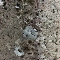 斎場の鳥居もこんな感じでした…