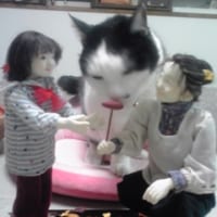 猫と作品