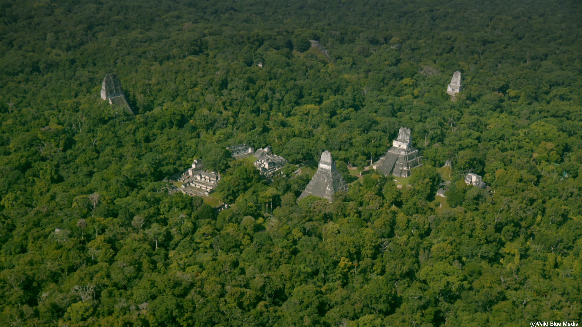 新発見の遺跡に迫る「マヤ文明 密林に隠された真実」放送