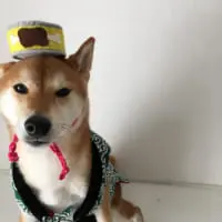 きびと被り物