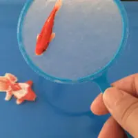 金魚すくい