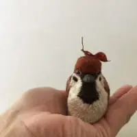 スズメ