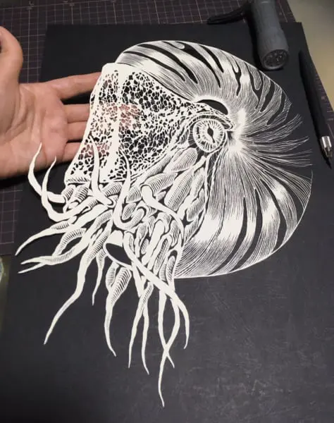 切り絵作品なのに３D感すごい！平面なオウムガイの切り絵が立体的すぎて感嘆！