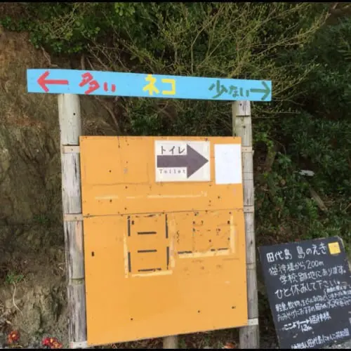 猫神様のいる島にあるちょっと変わった看板が話題　「←多い　ネコ　少ない→」