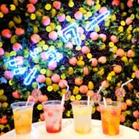 店内のフォトスポット