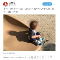 子どもの頭がウニ_見出し