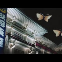 歌舞伎座から舞い出てくる胡蝶