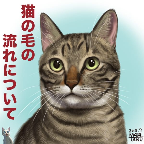 イラストを描くとき以外にも重宝しそう！猫の毛の流れの図解が分かりやすい