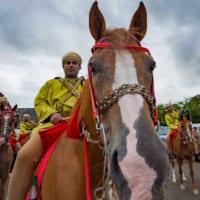 初参加となったオマーン陸軍の騎馬パイプ隊