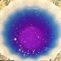 カップの底から赤が燃え上がる