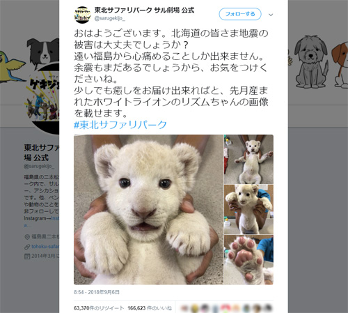 福島の動物園が発信した「癒やしの支援」　可愛いはげましに多くの反響