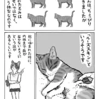 2ページ目