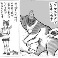 湊文（猫漫画）さん（@sobun_nekomanga）提供