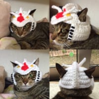 猫ガンダム