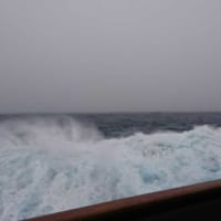 帰路の「絶叫する60度」ドレーク海峡