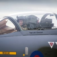 コクピットから手を振るヒリアー空軍参謀総長（画像：RAF）