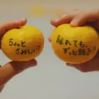 「湯気ひとすじ」MV_ゆず