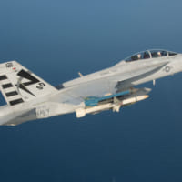 AARGMを翼下パイロンに装備したF/A-18F（画像：U.S.Navy）