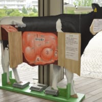「酪農パネル展示・フォトコーナー」（2）