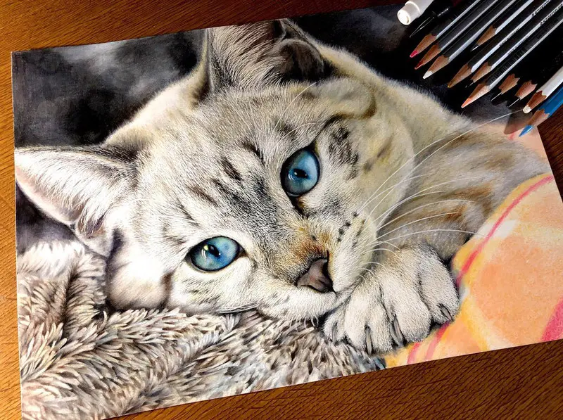 24色の色鉛筆で織りなす写真のような猫の絵 その瞳に「吸い込まれそう ...