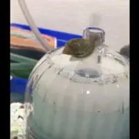 てっぺんに到着