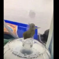 気泡の上へ……