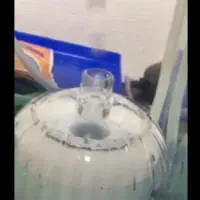 完全に浮いて楽しんでいるみたい