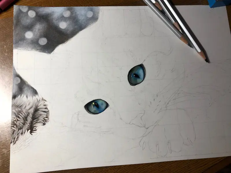 リアル色鉛筆画 手描き【原画】 No.24 猫の絵 リアル色鉛筆画【原画】NO.6 猫 手描き 絵画 鳳雛色鉛筆画家