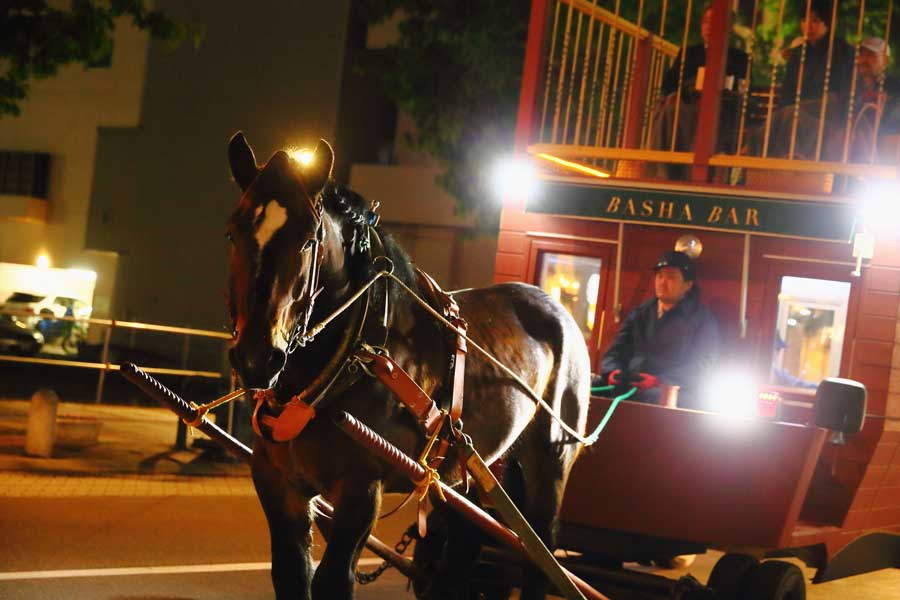 馬とともに変化する景色とお酒を楽しむ「馬車BAR」帯広の街をゆく