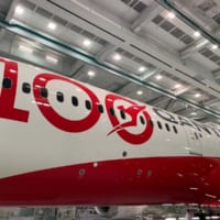 前部胴体の100周年ロゴ（Image：QANTAS）