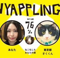 自分にもっとも似ている猫が表示