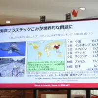 海洋プラスチックごみの問題