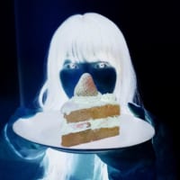 映えすぎるイチゴのショートケーキ