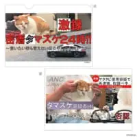 クリアファイル両面