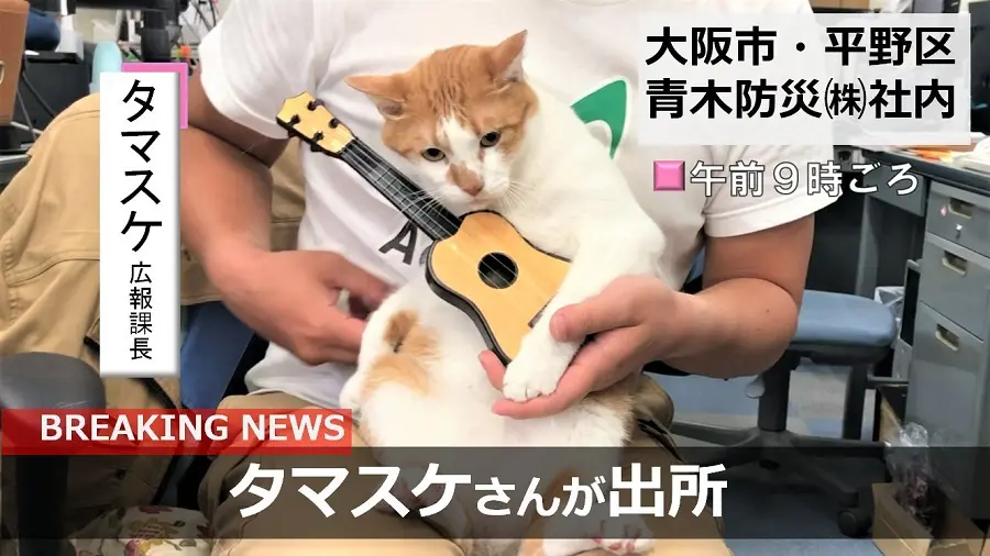 マタタビ使用で逮捕？「逮捕ネコ　タマスケ」グッズが発売に