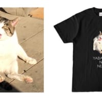 ヤバイ顔の猫Tシャツ