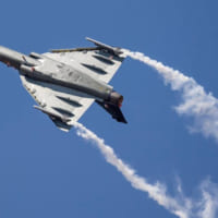 LIMA2019でのLCAテジャス（Image：インド空軍）