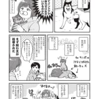 ドッグトレーナーさんに指導される飼い主…