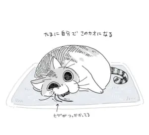 猫のひげ様 ねこひげ (@Neko_Hige2929) / X