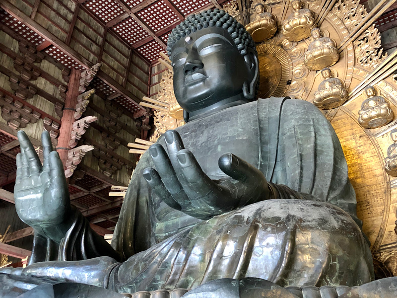 奈良の大仏がリモート参拝可能に　ニコ生で24時間生放送